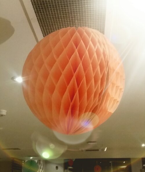 2015-12-16 07.57.08.jpg image