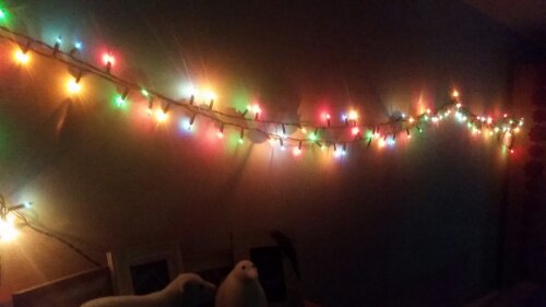 20151124_193918.jpg image