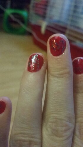 20151212_152524.jpg image