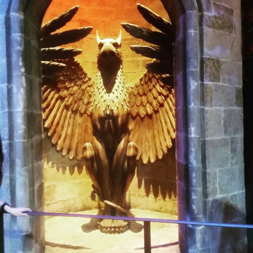 IMG_20160514_210049.jpg image