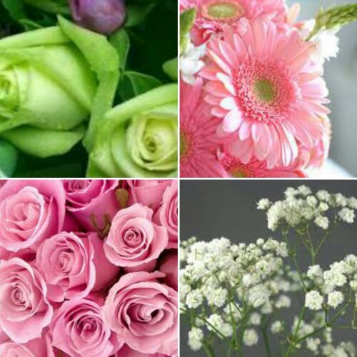 IMG_20160528_124728.jpg image