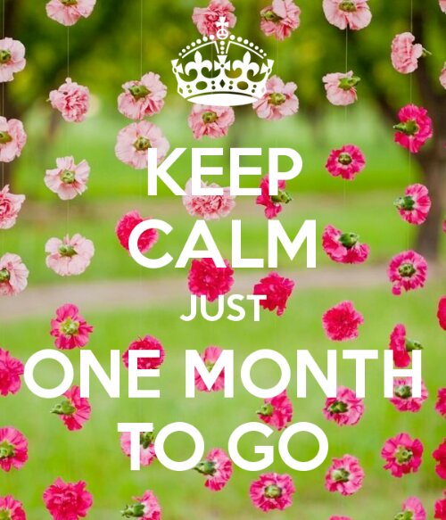 keep-calm-just-one-month-to-go-2.png image
