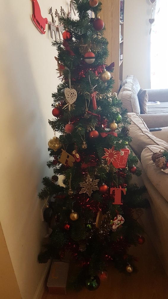 20171119_134133_resized