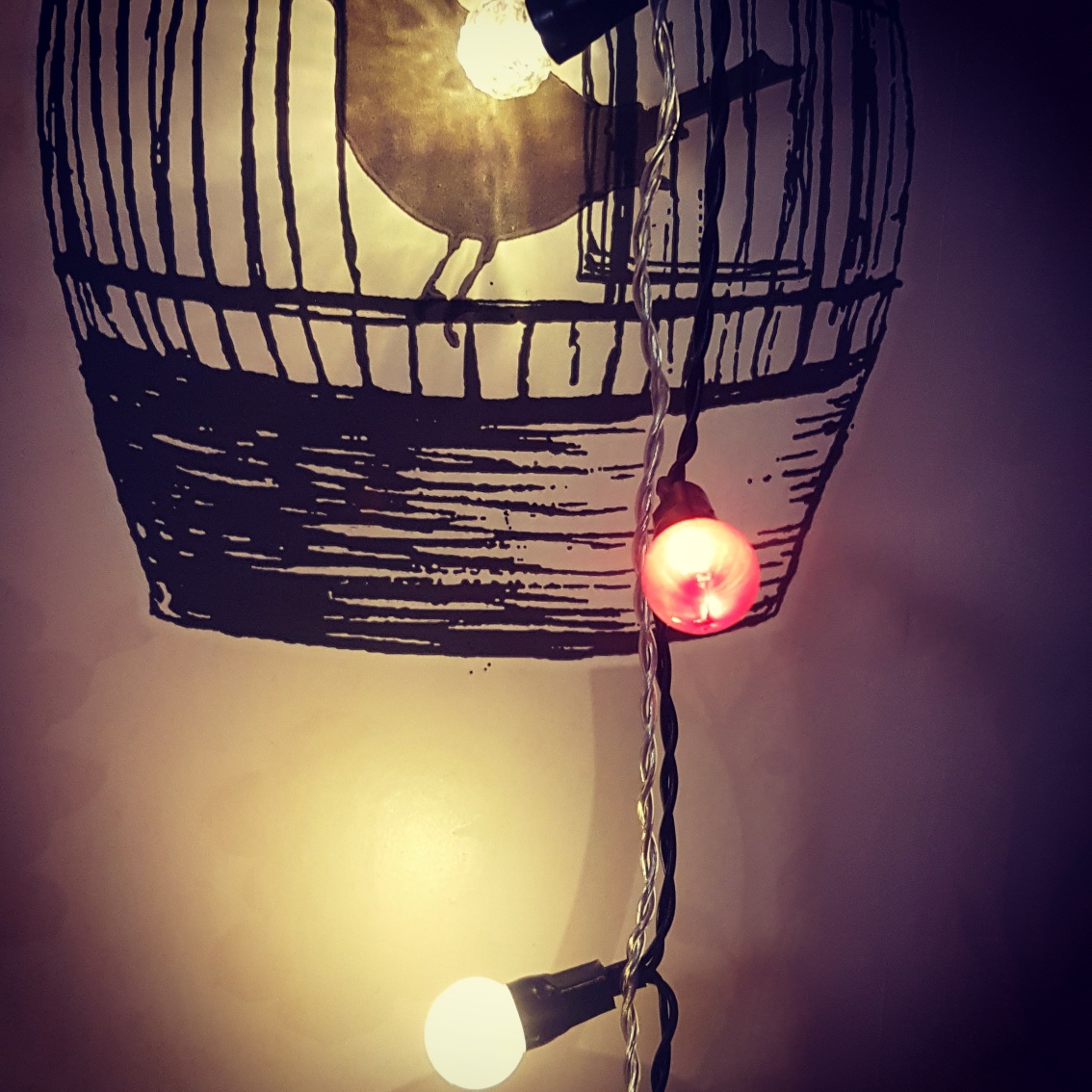 IMG_20171108_203123_312_resized