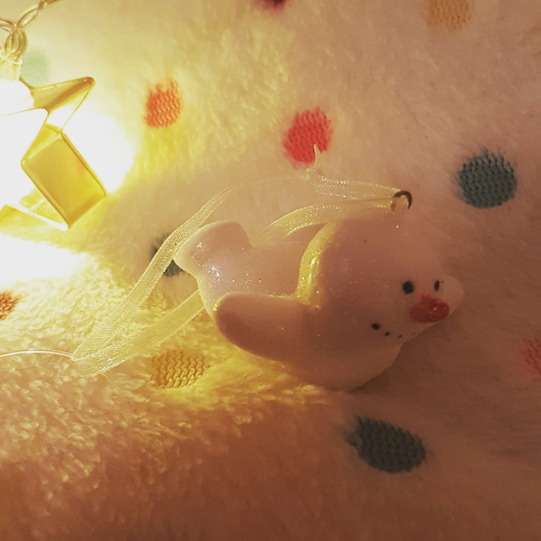 IMG_20171109_221916_720_resized