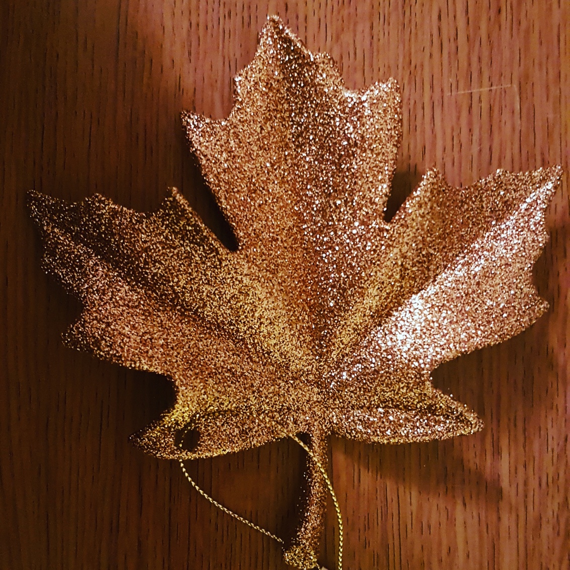 IMG_20171109_221952_440_resized