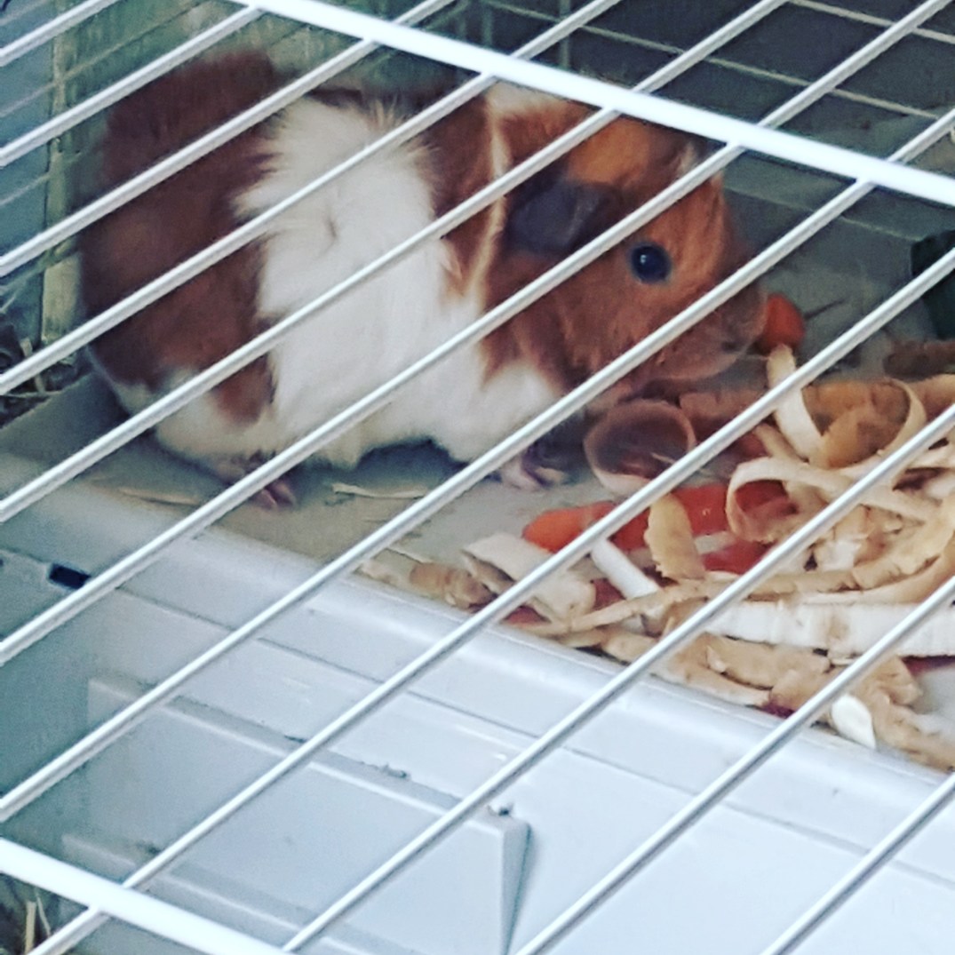 IMG_20180325_211013_395